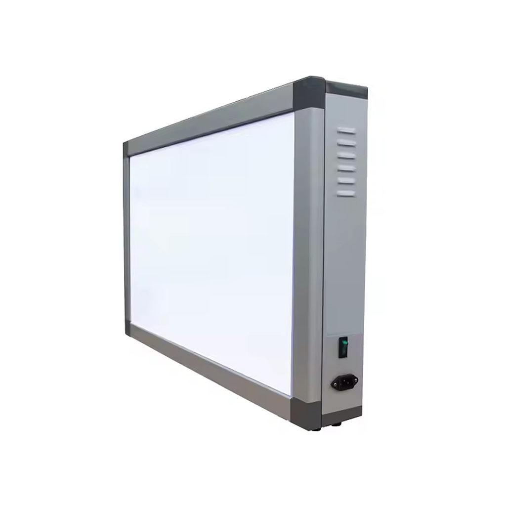 X-Ray Viewer Single - Image 2