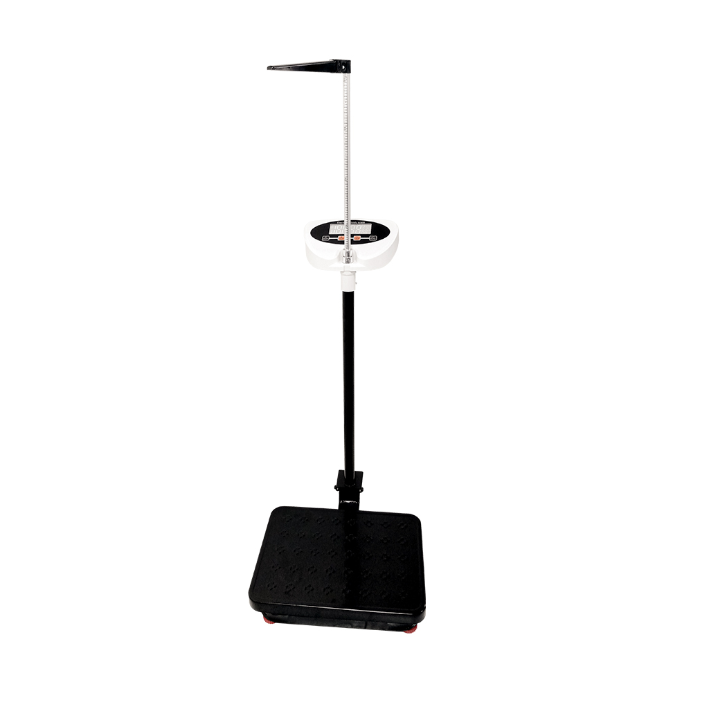 Digital Scale