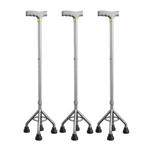 walking stick quadruped
