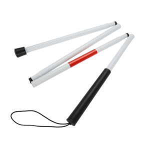 walking stick-blind