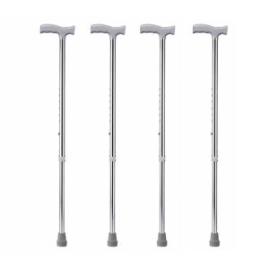 Walking Stick
