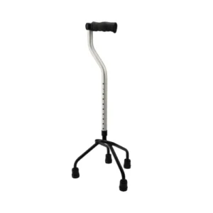 walking stick quadruped