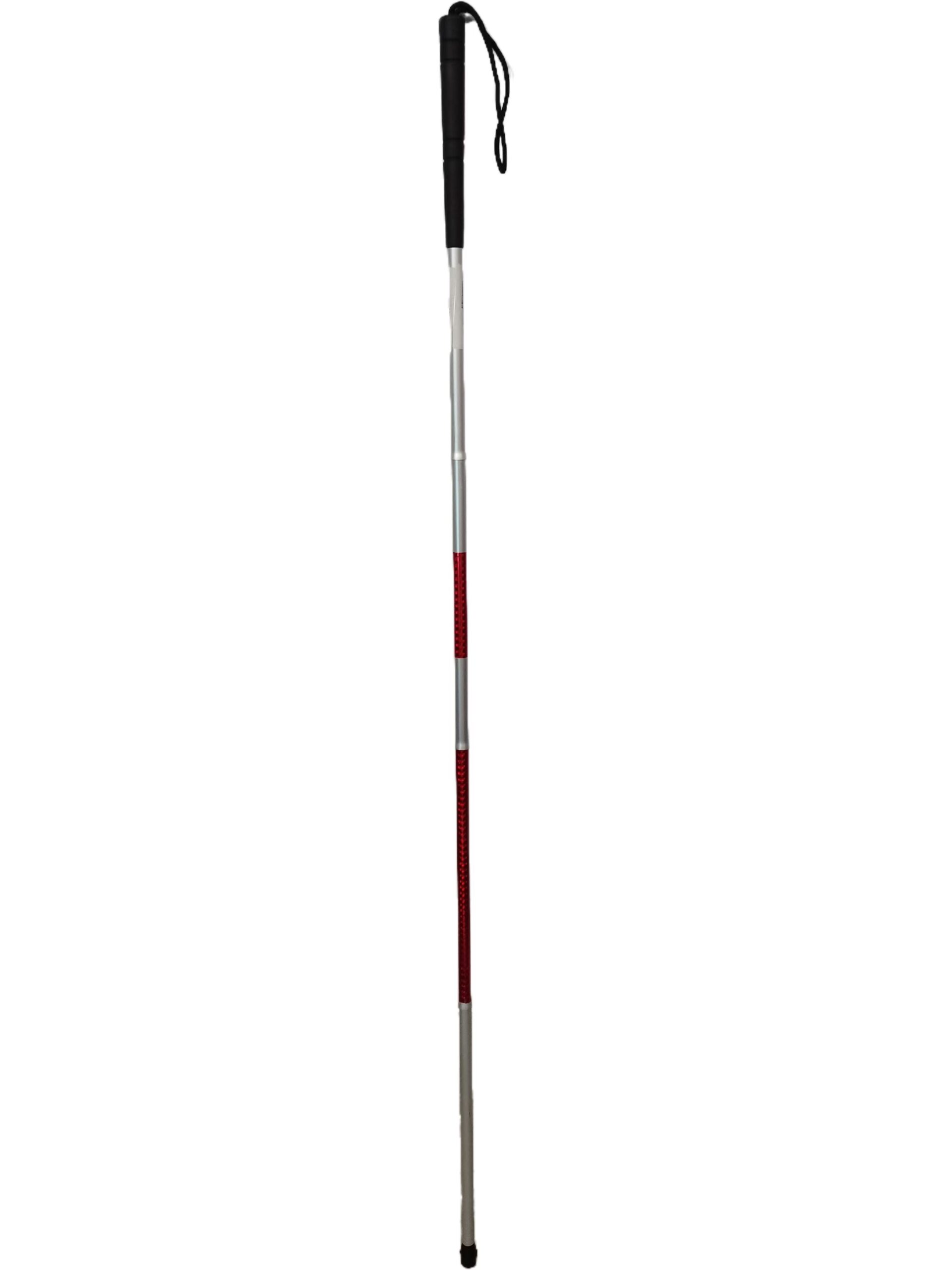walking stick-blind