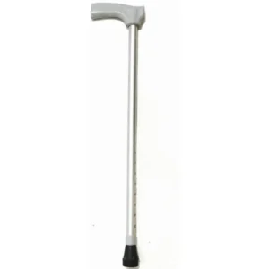 walking stick