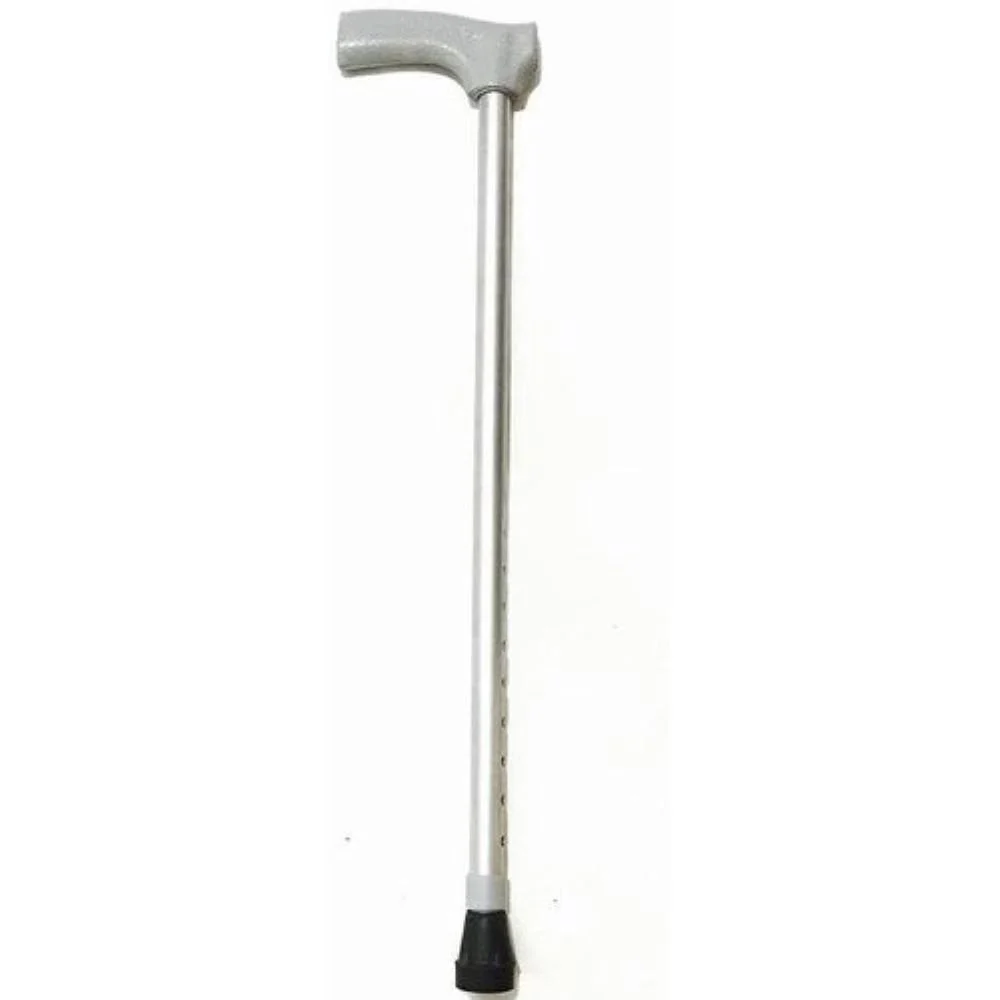 walking stick