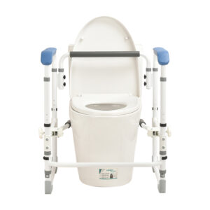 Toilet Frame (KDB502B01FT)