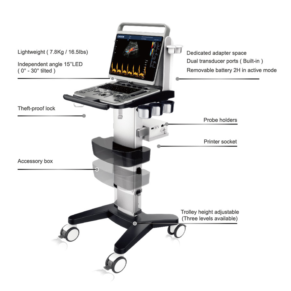 Ultrasound Machine Ebit 20 Main Unit with 3 Probes & Printer - Image 2